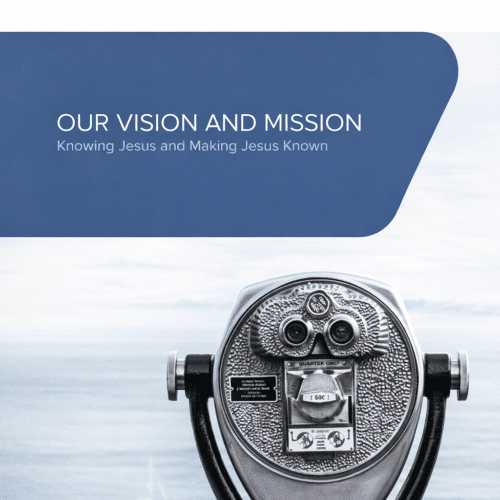 Vision through the viewer